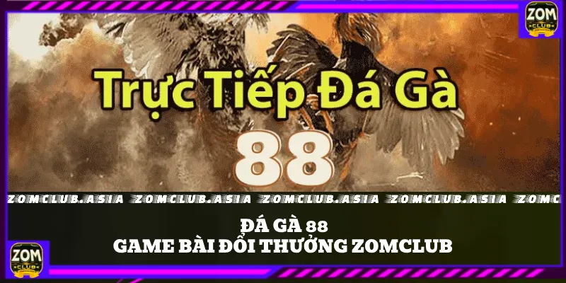 đá gà 88 zomclub 1