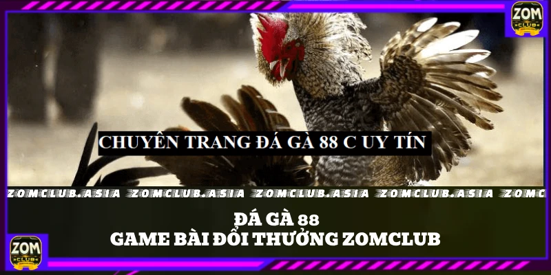 đá gà 88 zomclub
